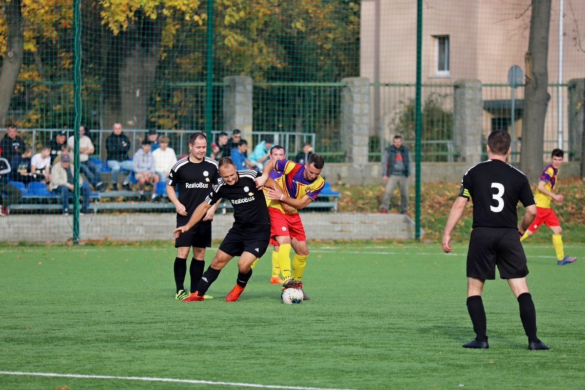 pub-gol-uleg-lechii-110028