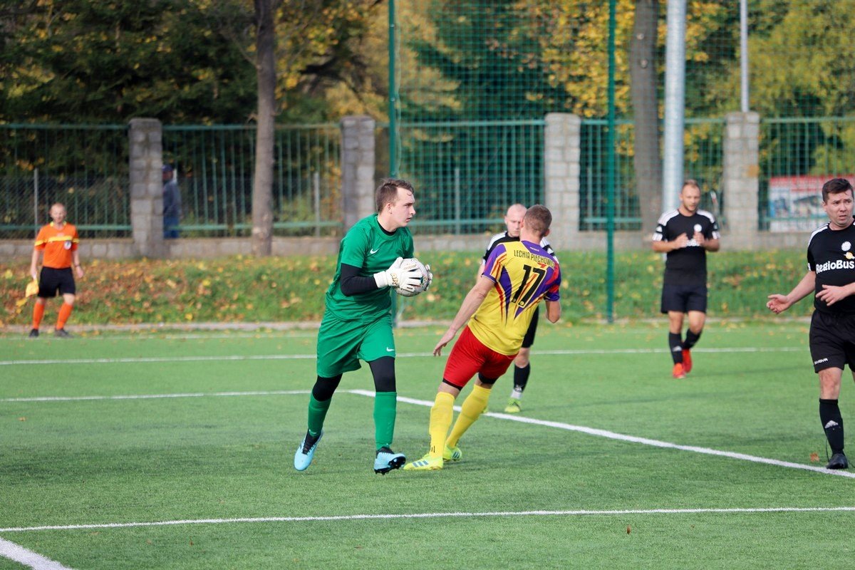 pub-gol-uleg-lechii-110028