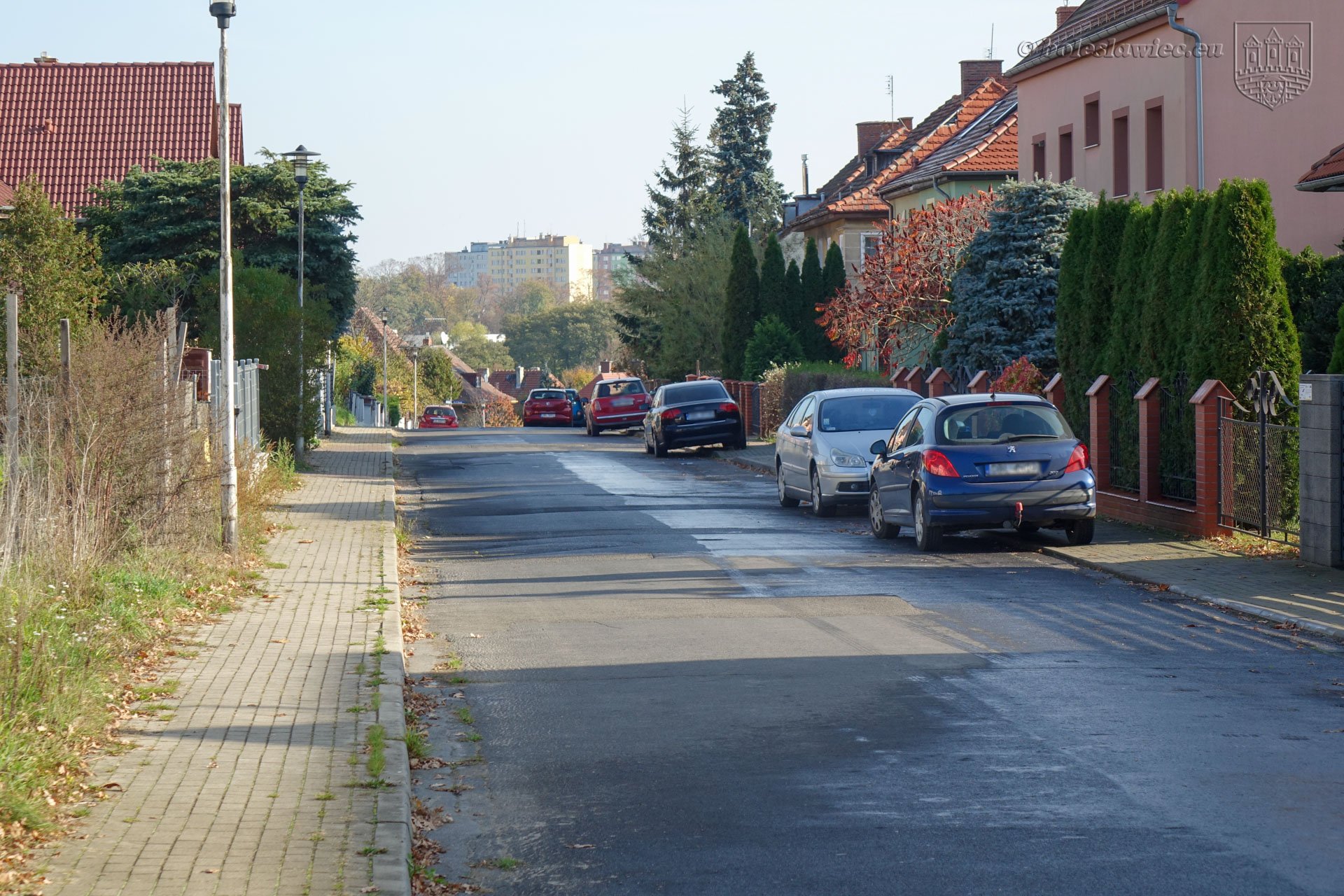 w-planach-remont-ulicy-110039