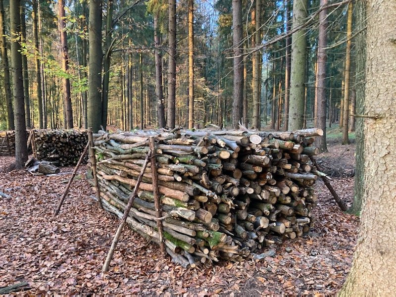 skad-wziac-drewno-110073