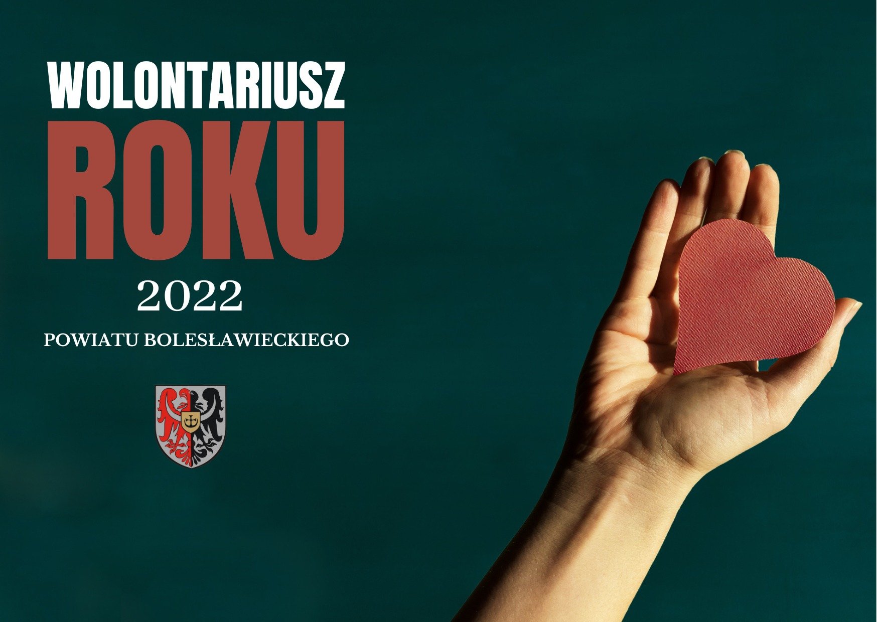 wolontariusz-roku-110151