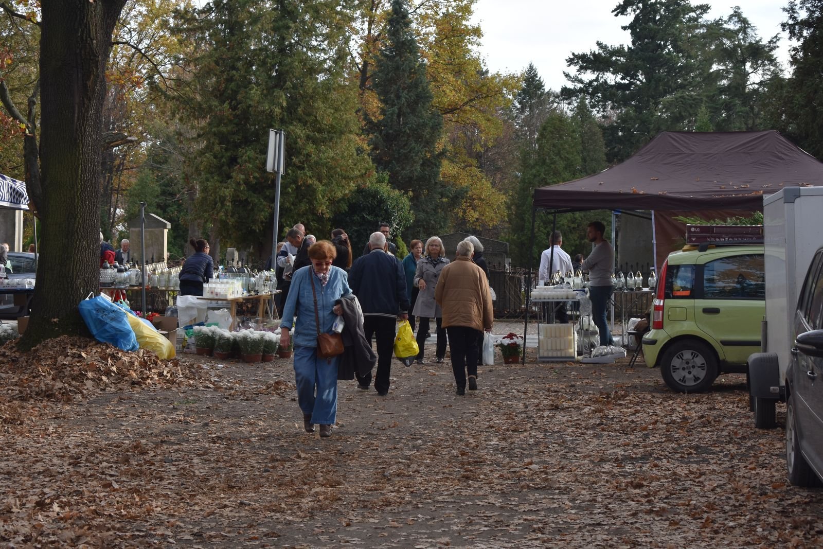 swieto-na-nekropolii-w-cieplicach-110209