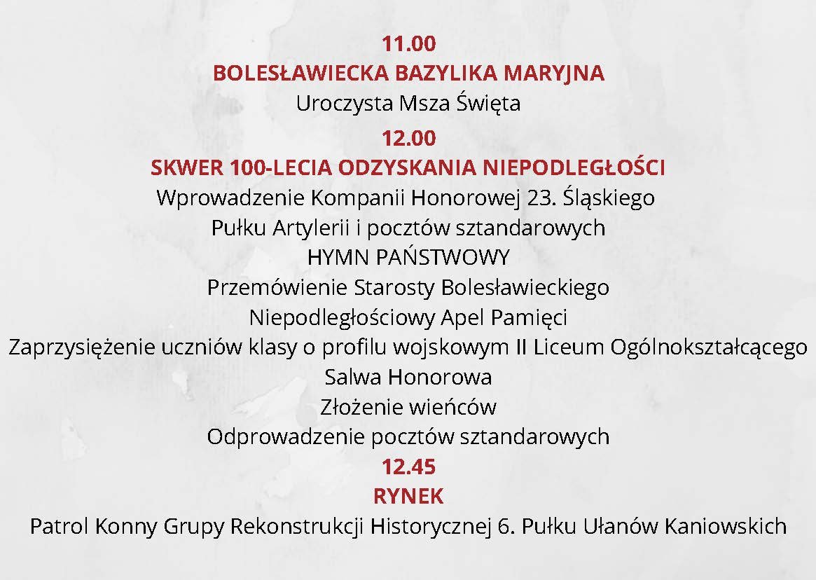 rocznicowe-obchody-110364