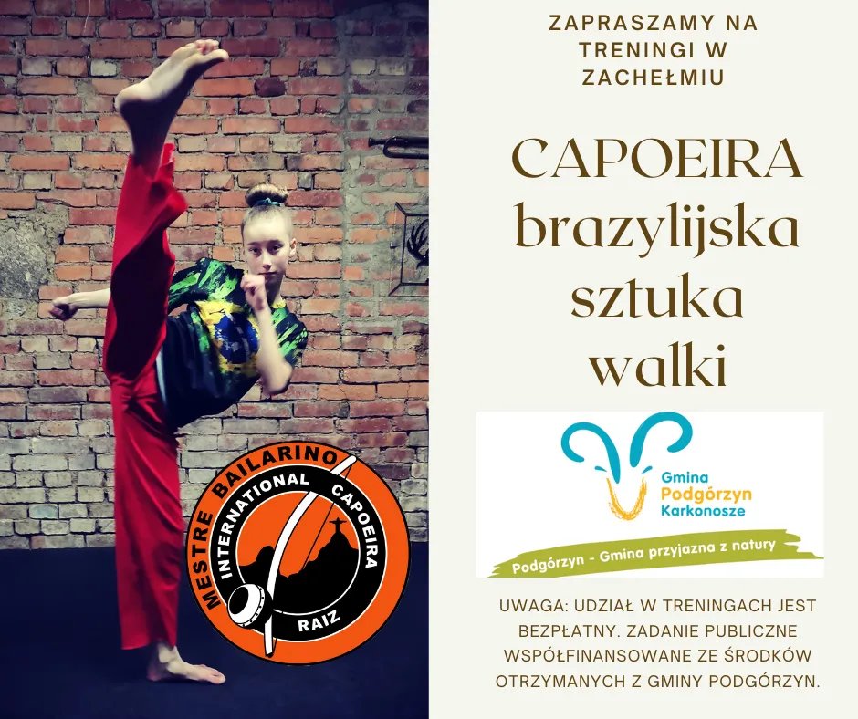 darmowe-treningi-capoeiry-110415