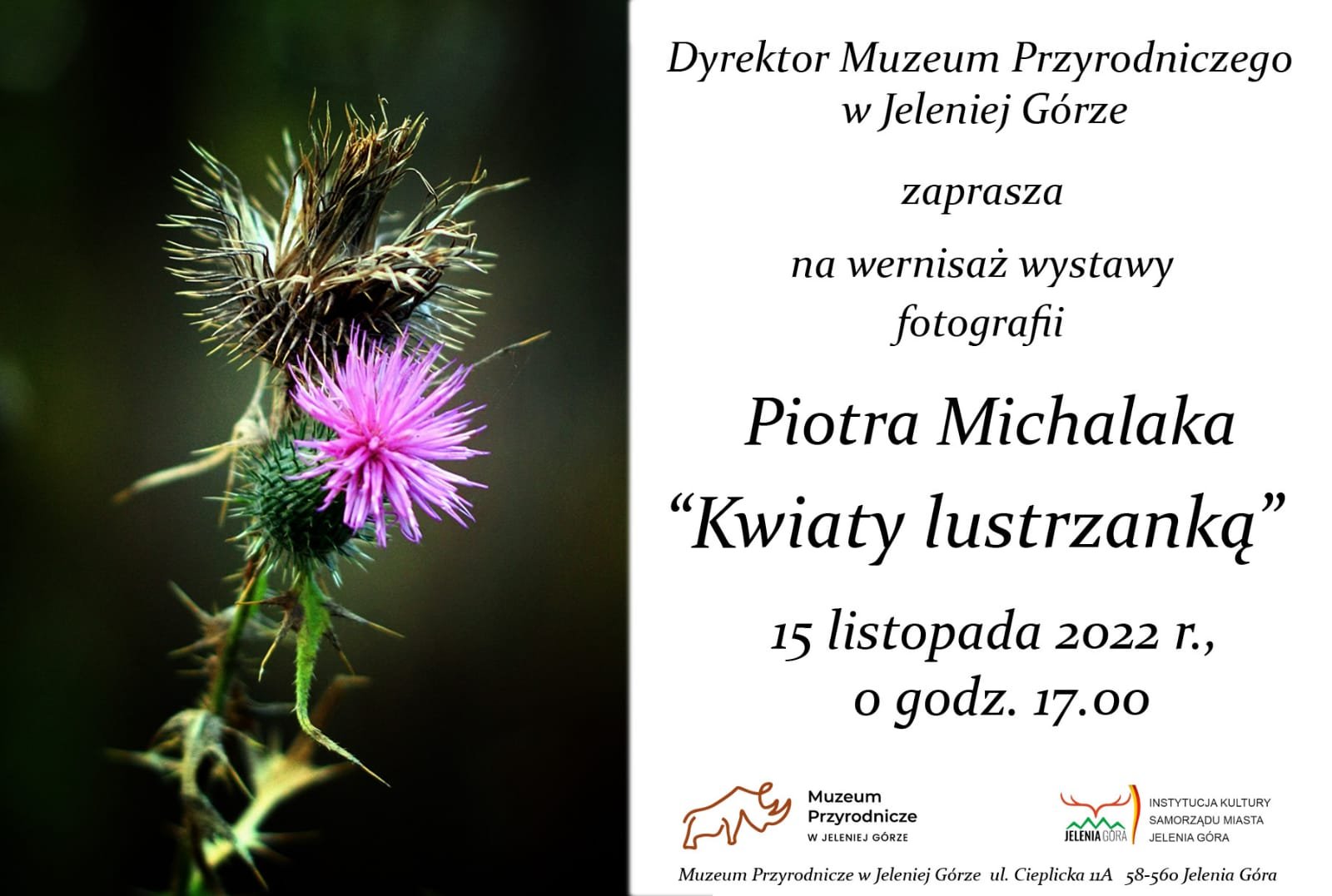 kwiaty-piotra-michalaka-110450