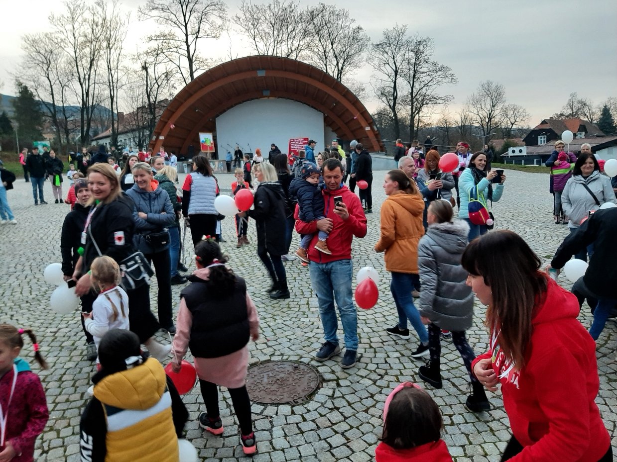 uroczyscie-w-kowarach-110465