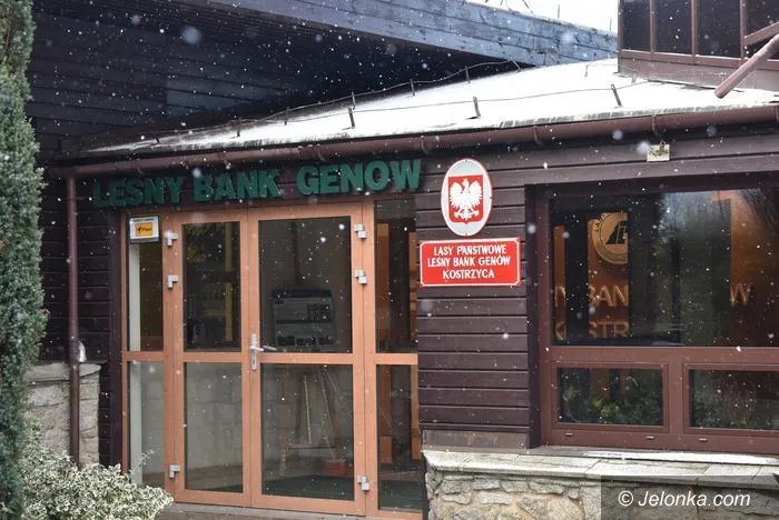 nagroda-dla-lesnego-banku-genow-111095