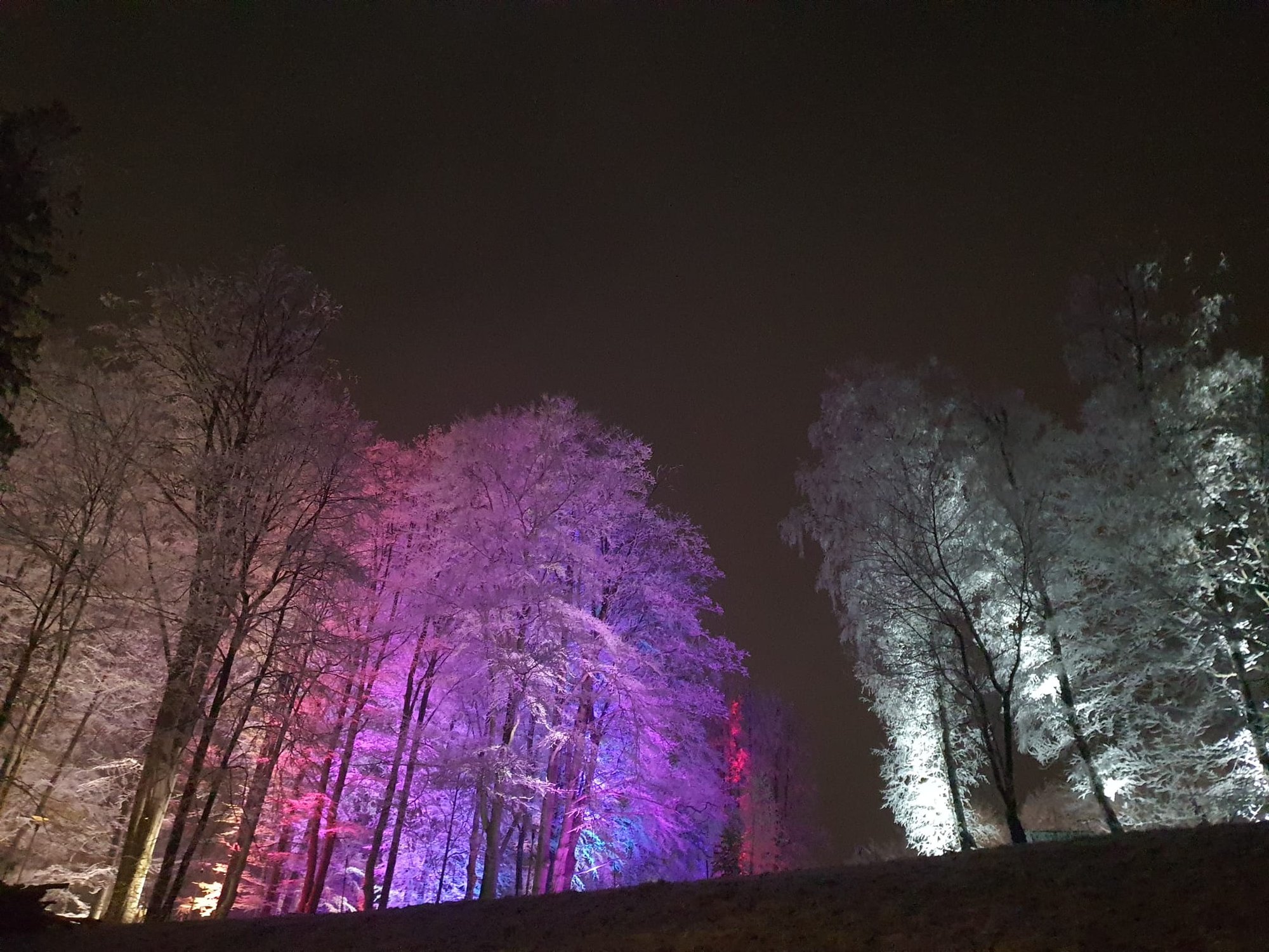 zaczarowany-ogrod-przy-domu-hauptmannow-111241