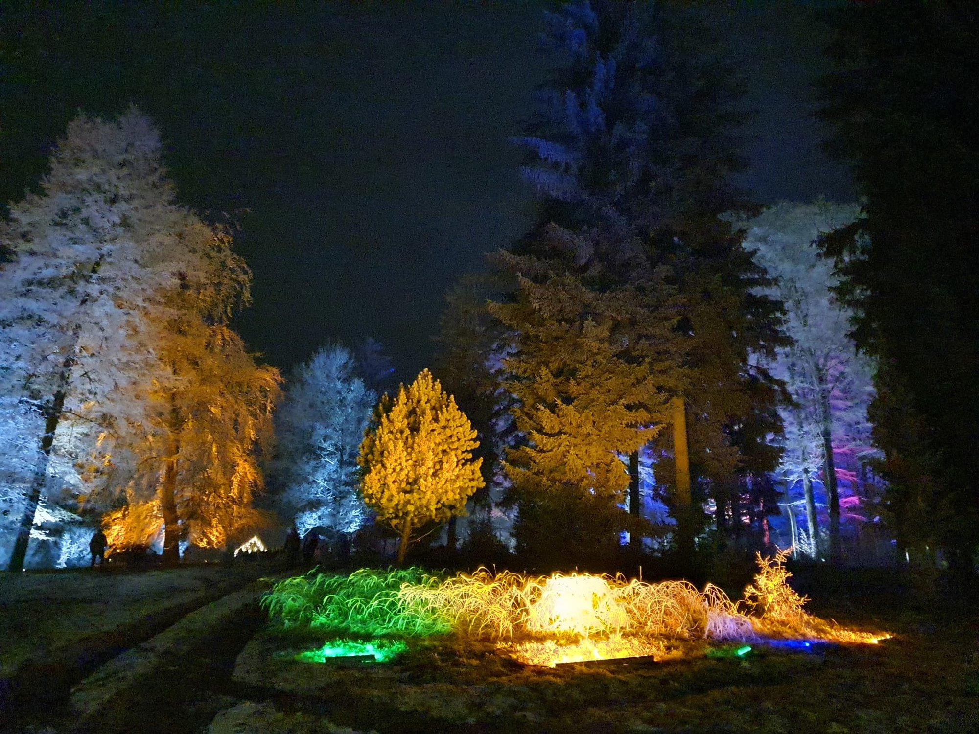 zaczarowany-ogrod-przy-domu-hauptmannow-111241