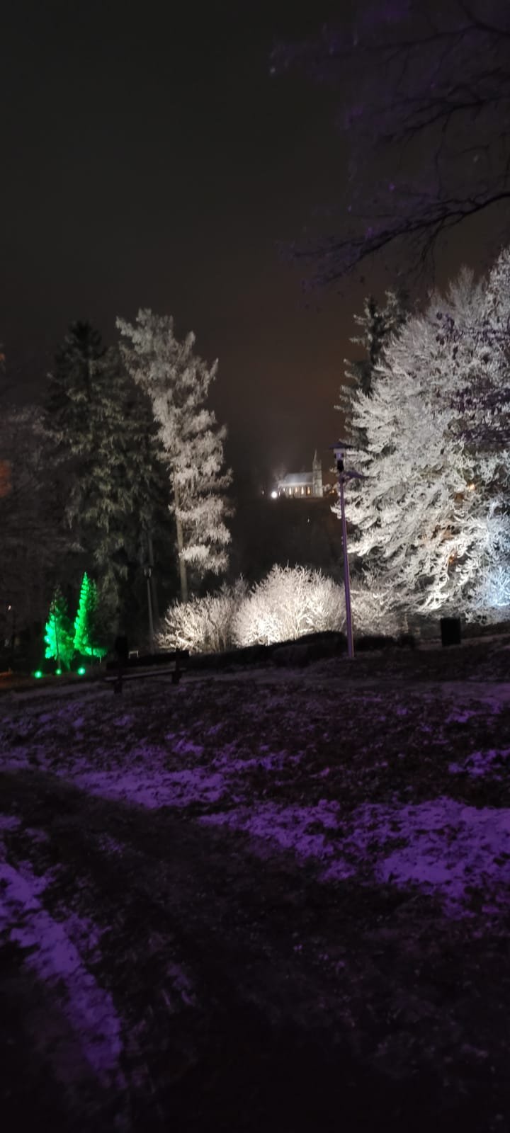 zaczarowany-ogrod-przy-domu-hauptmannow-111241