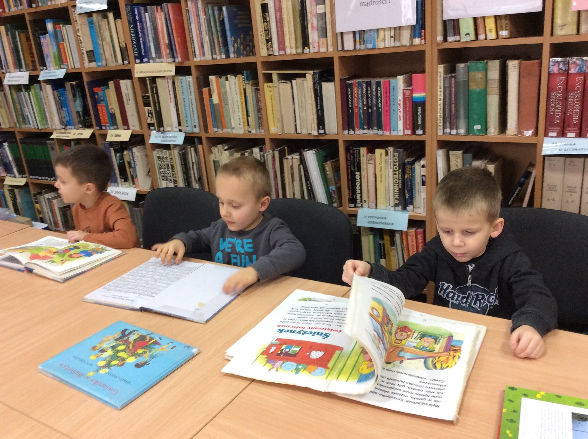 kaczuszki-w-bibliotece-111273
