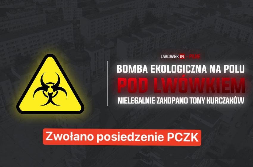 bomba-ekologiczna-111279