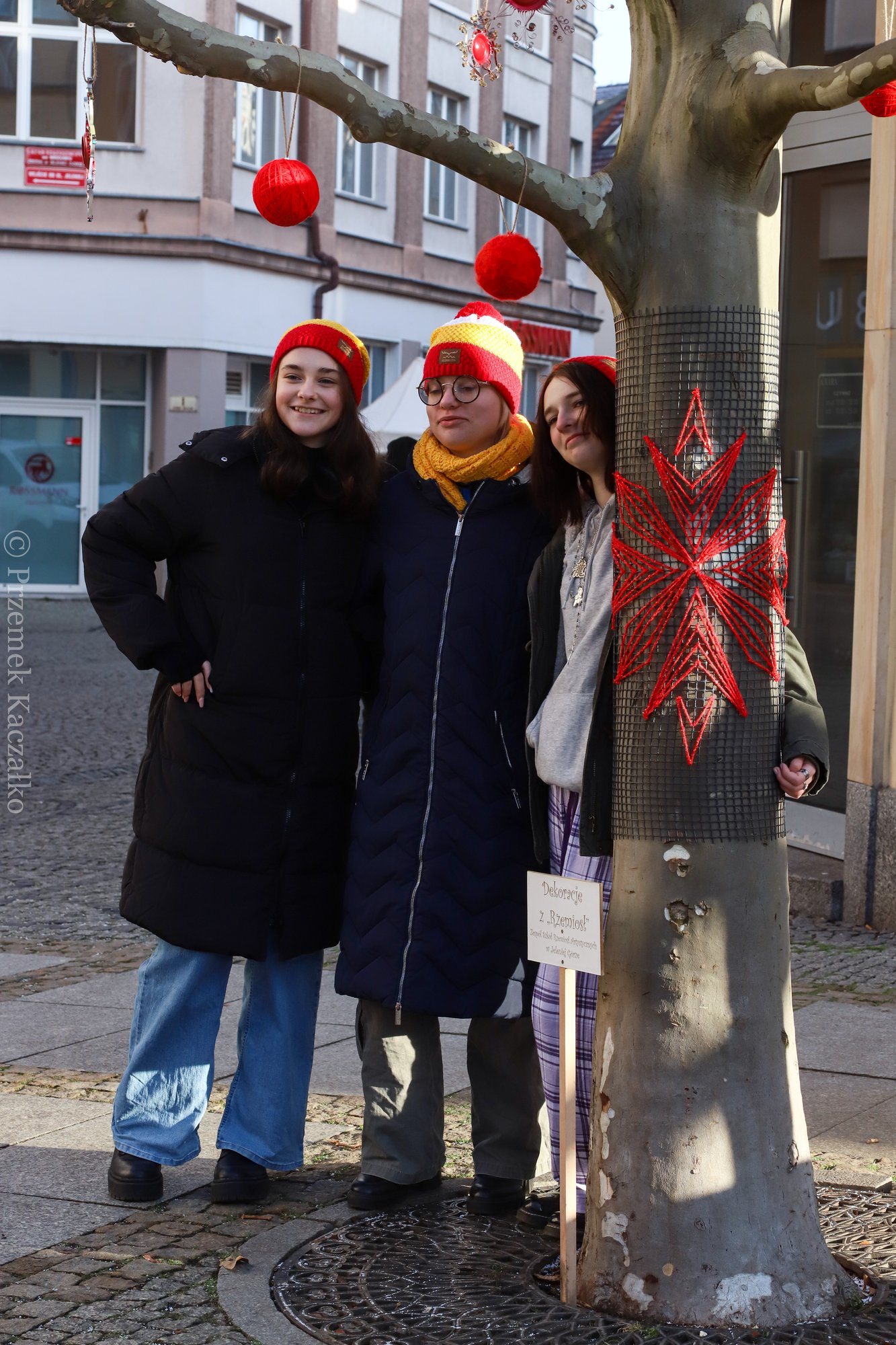 platany-ozdobione-przez-rzemiosa-111335