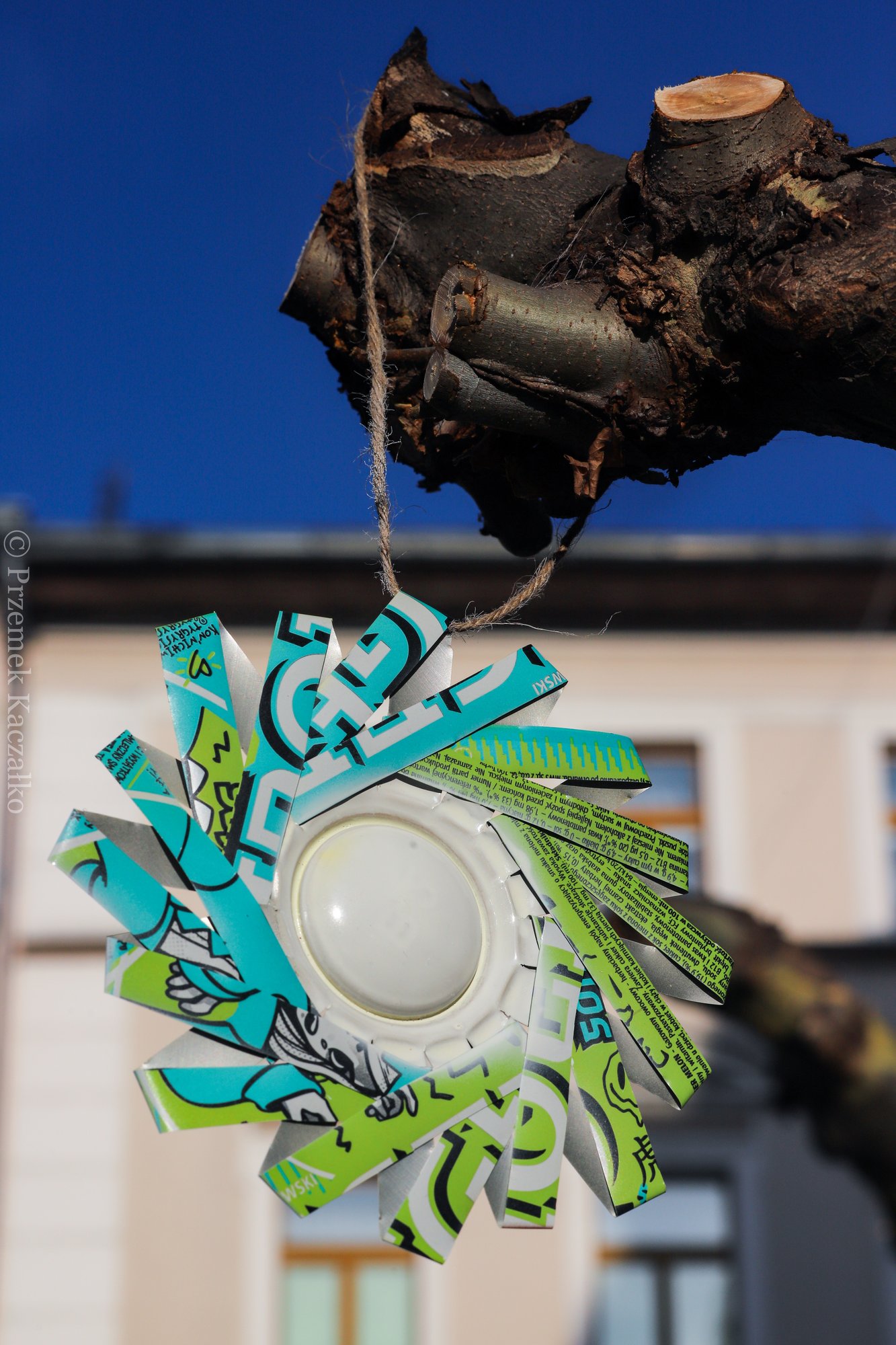 platany-ozdobione-przez-rzemiosa-111335