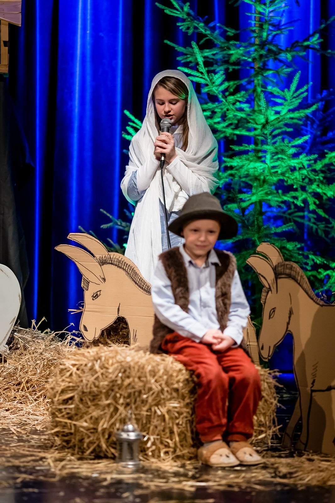 rodzinny-poranek-w-muflonie-111368