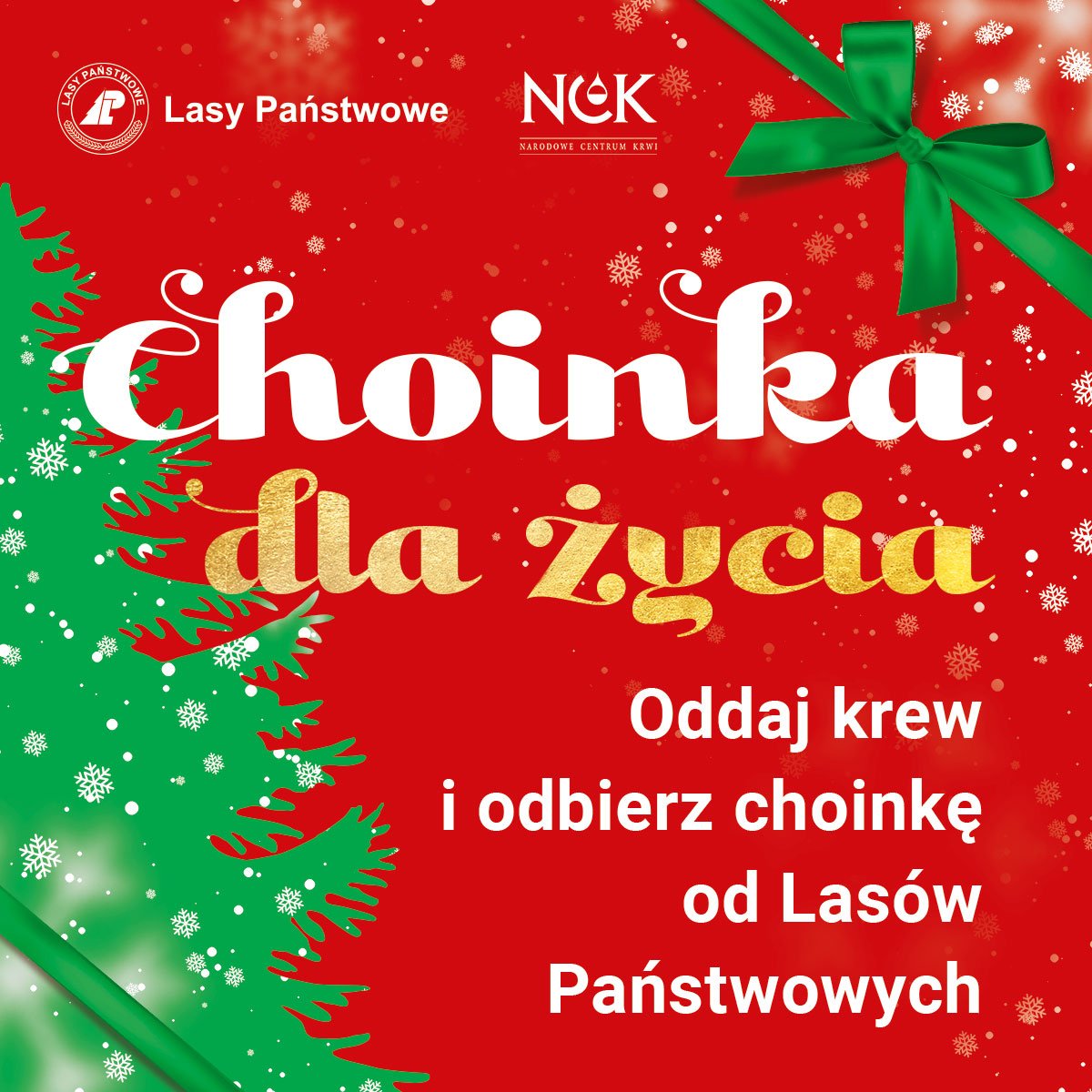 choinka-dla-zycia-111426