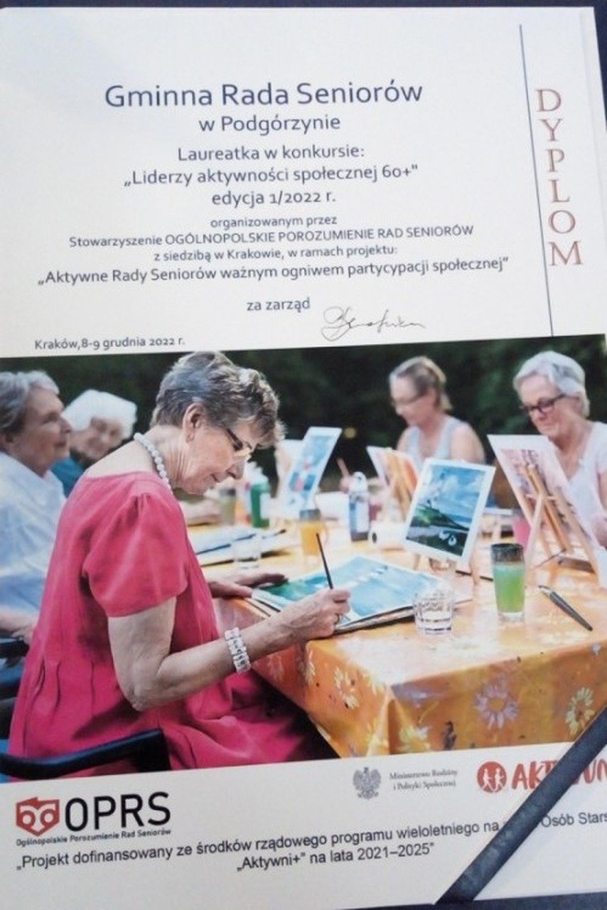 prestizowa-nagroda-dla-rady-seniorow-111568