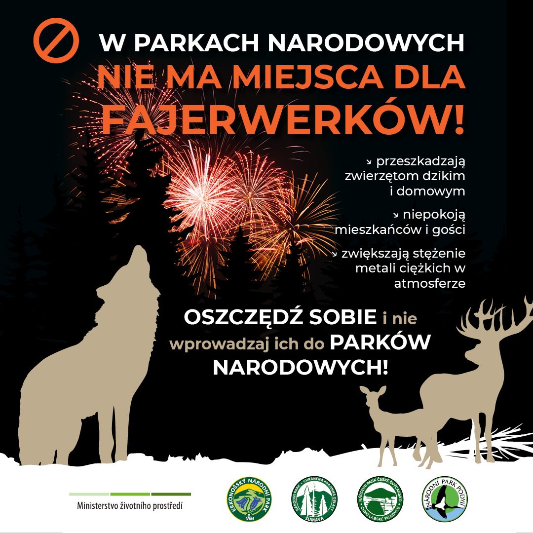 kpn-przypomina-o-zakazie-fajerwerkow-111764