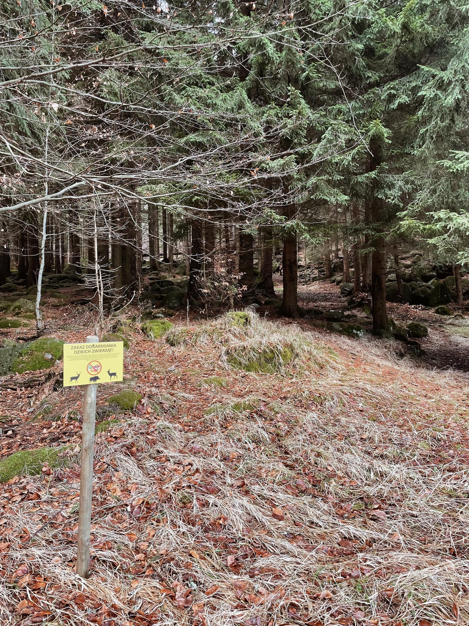 nie-wolno-dokarmiac-111909