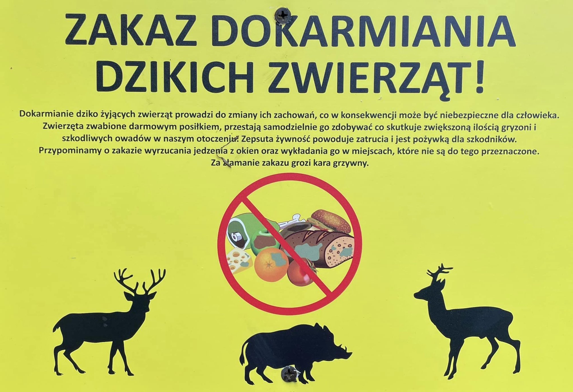 nie-wolno-dokarmiac-111909