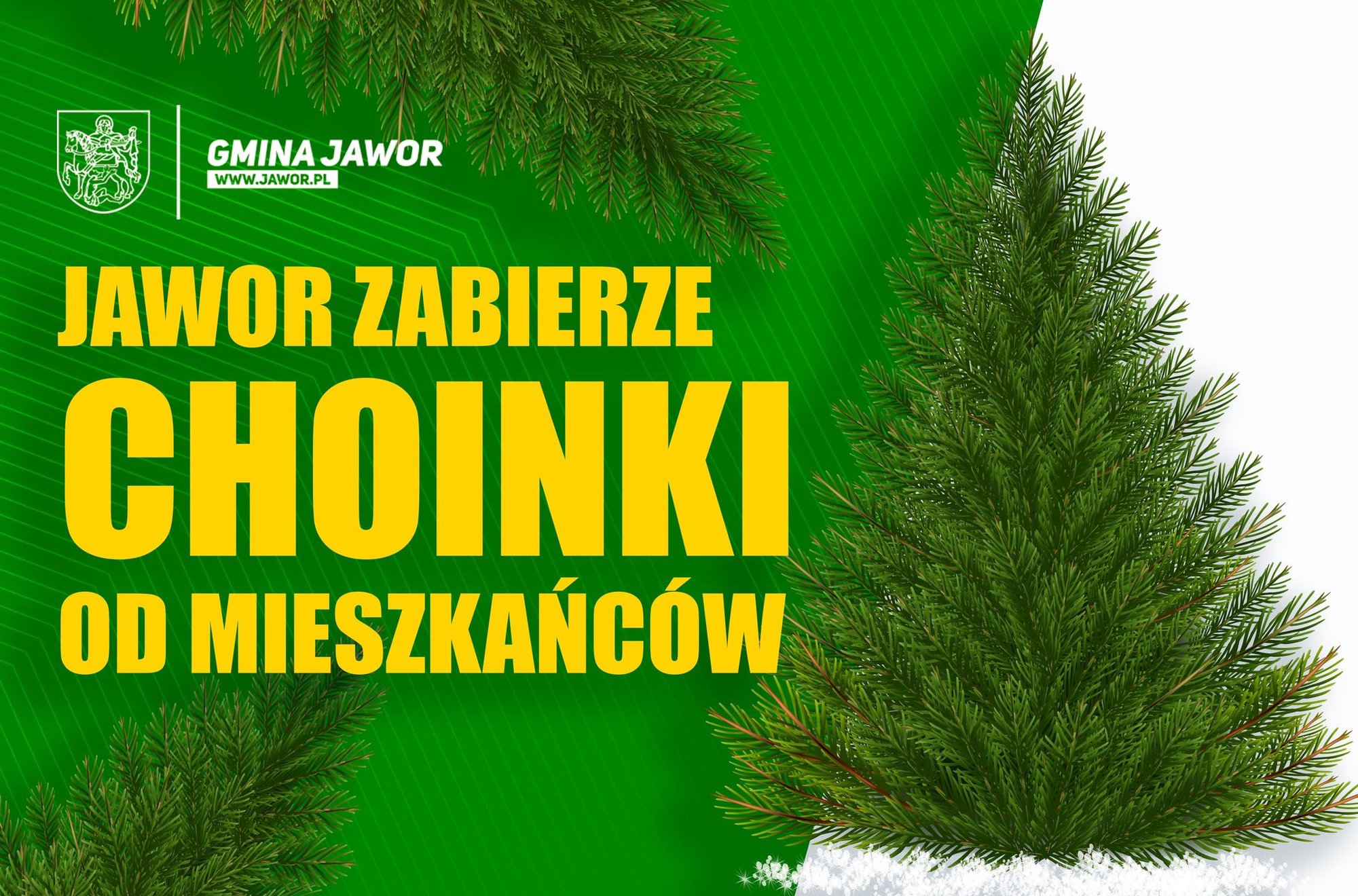 zabiora-choinki-112128