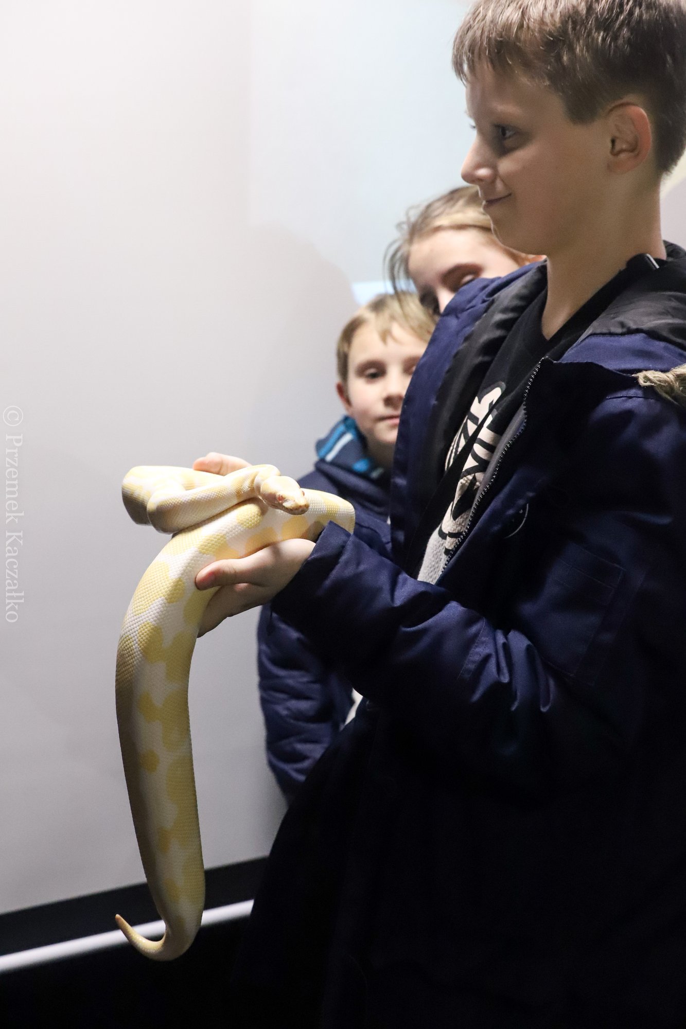 egzotyka-pasja-sukces-112196