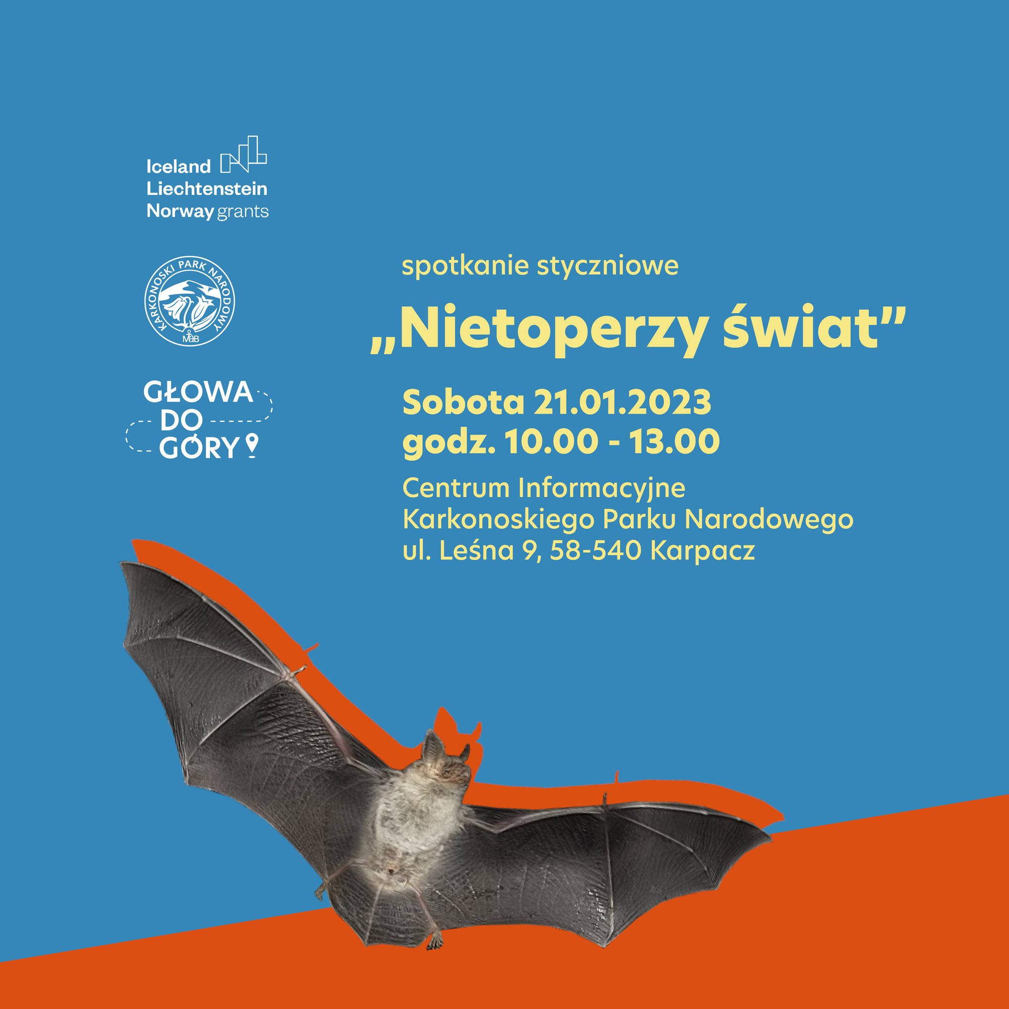 opowiesci-i-warsztaty-o-nietoperzach-112360