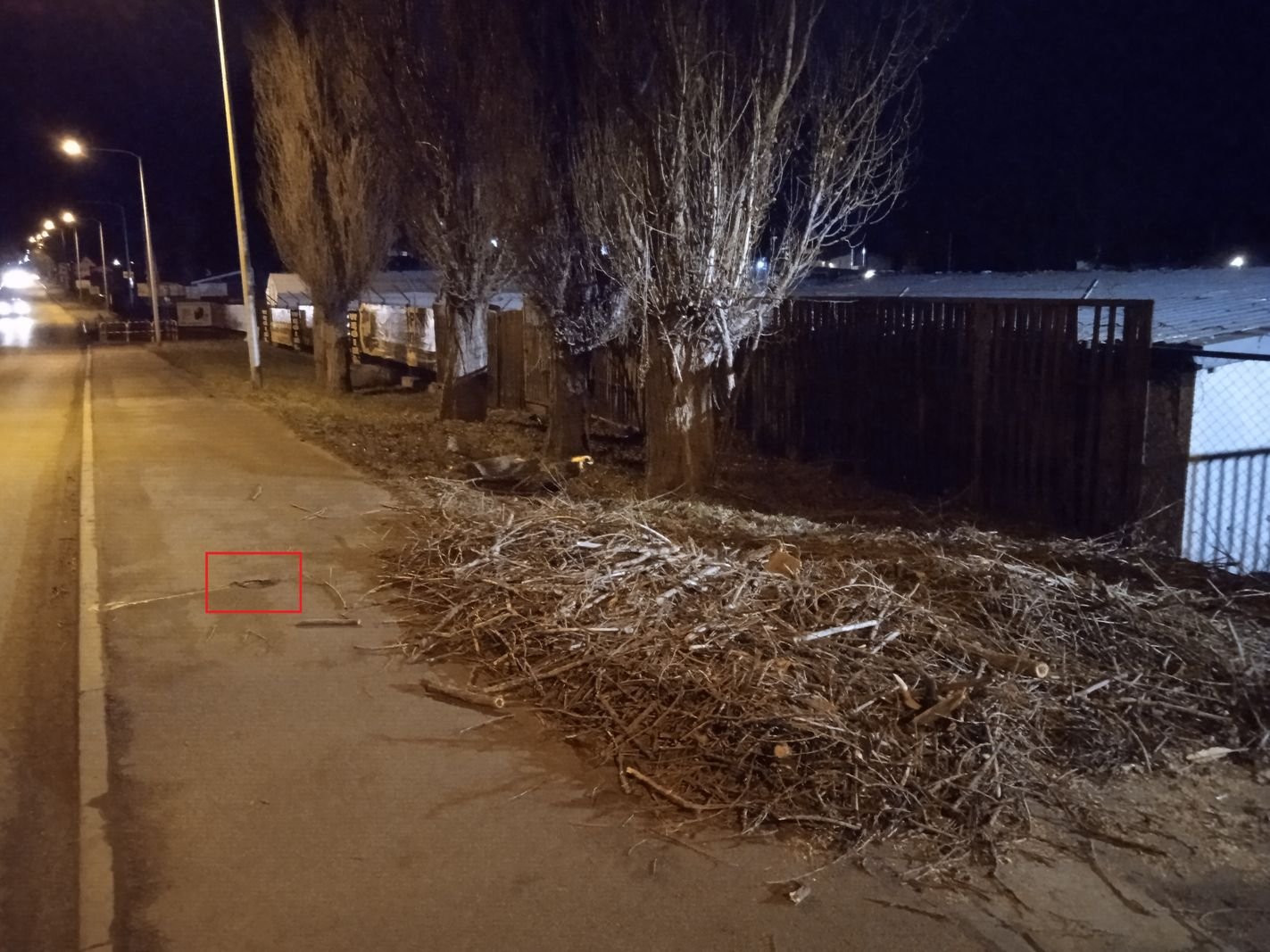 wycinali-drzewa-uszkodzili-chodnik-kiedy-naprawia-112374