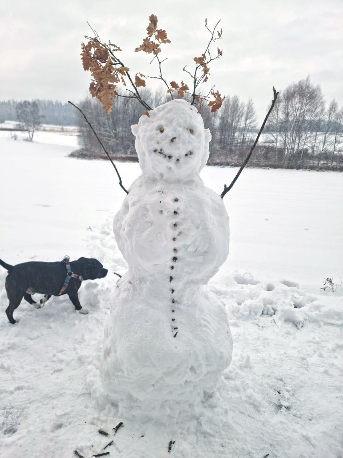 niby-tylko-bawan-a-cieszy-112456