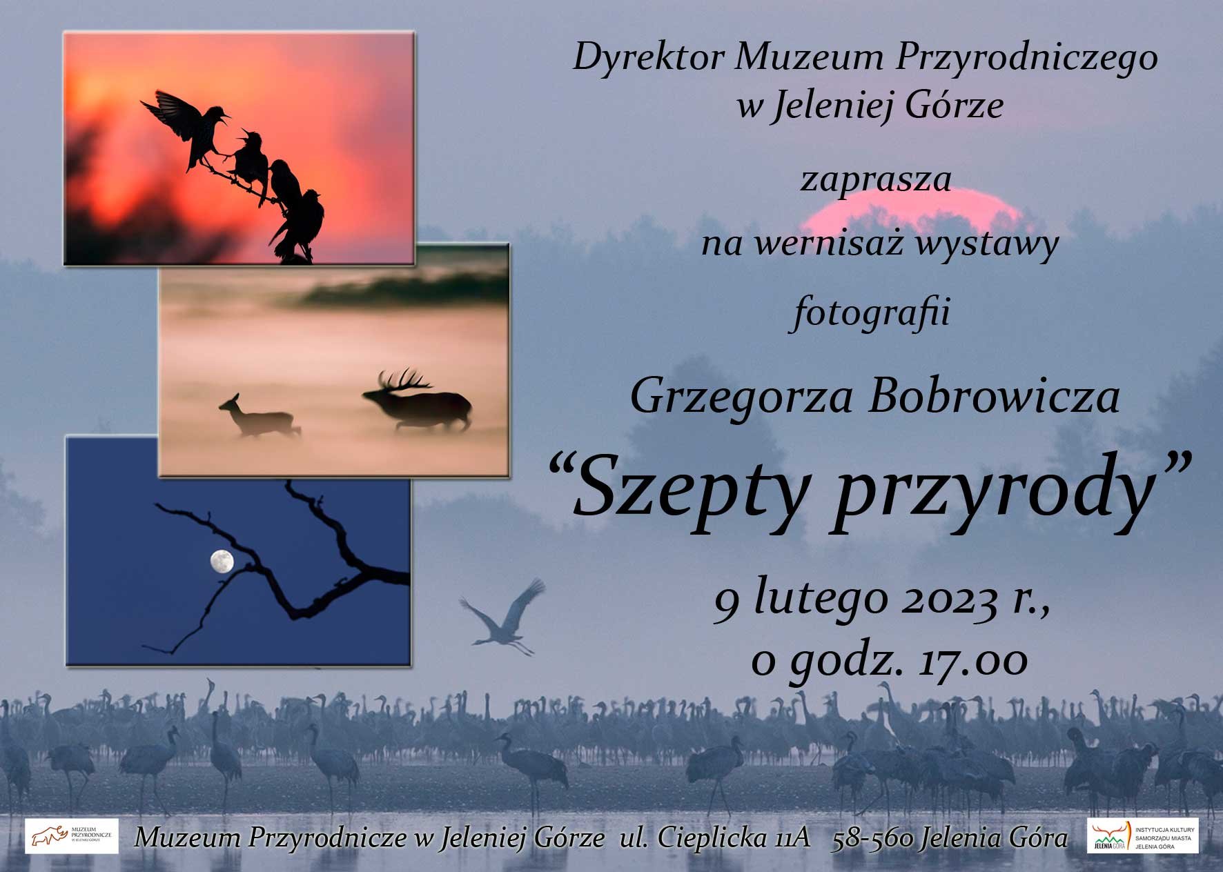 szepty-przyrody-112686