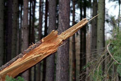 strazacy-usuwaja-skutki-wichury-112754