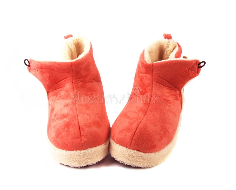 dzien-pantoflarza-112823