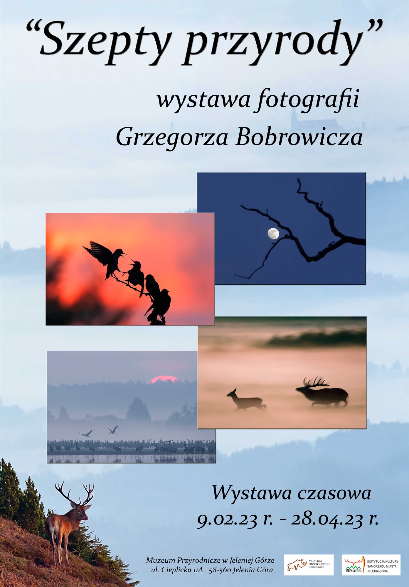 szepty-przyrody-w-muzeum-przyrodniczym-112891