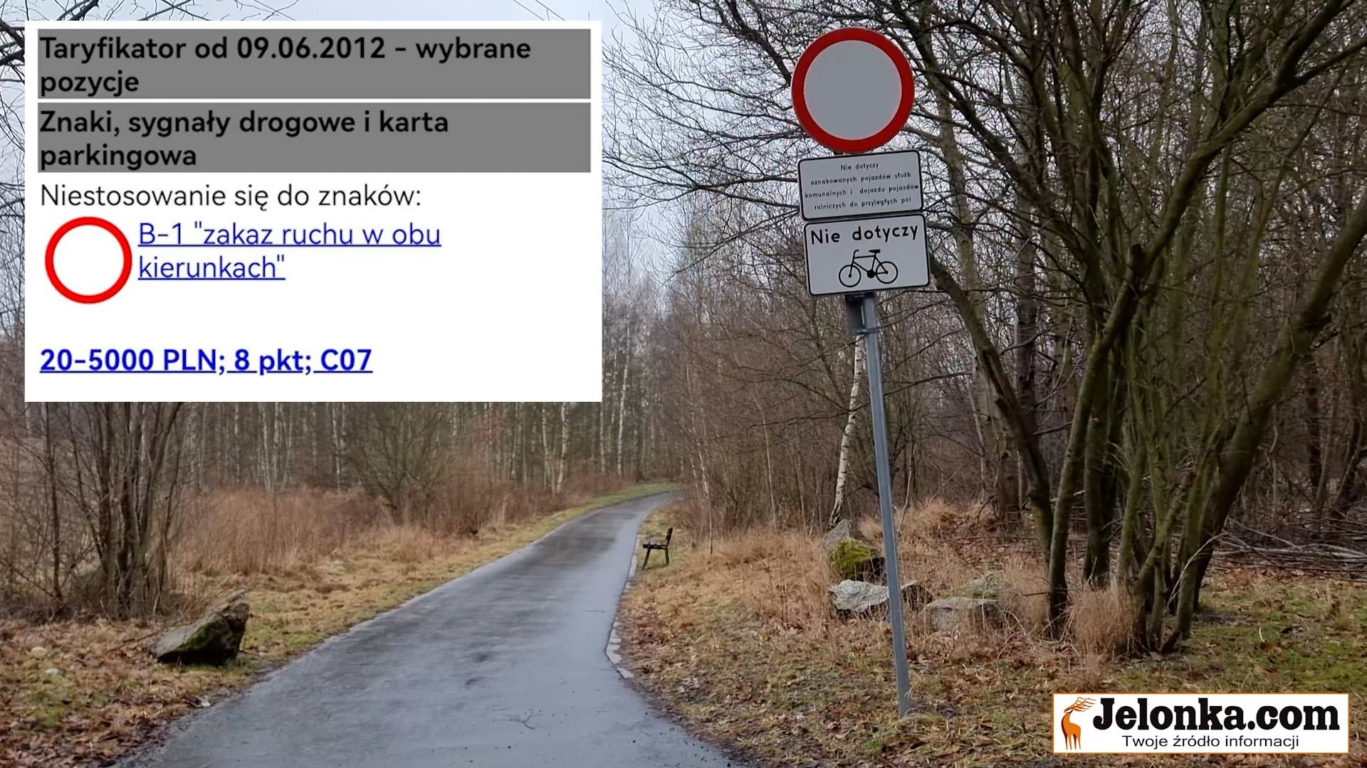 znow-jezdza-auta-po-sciezce-rowerowej-113014