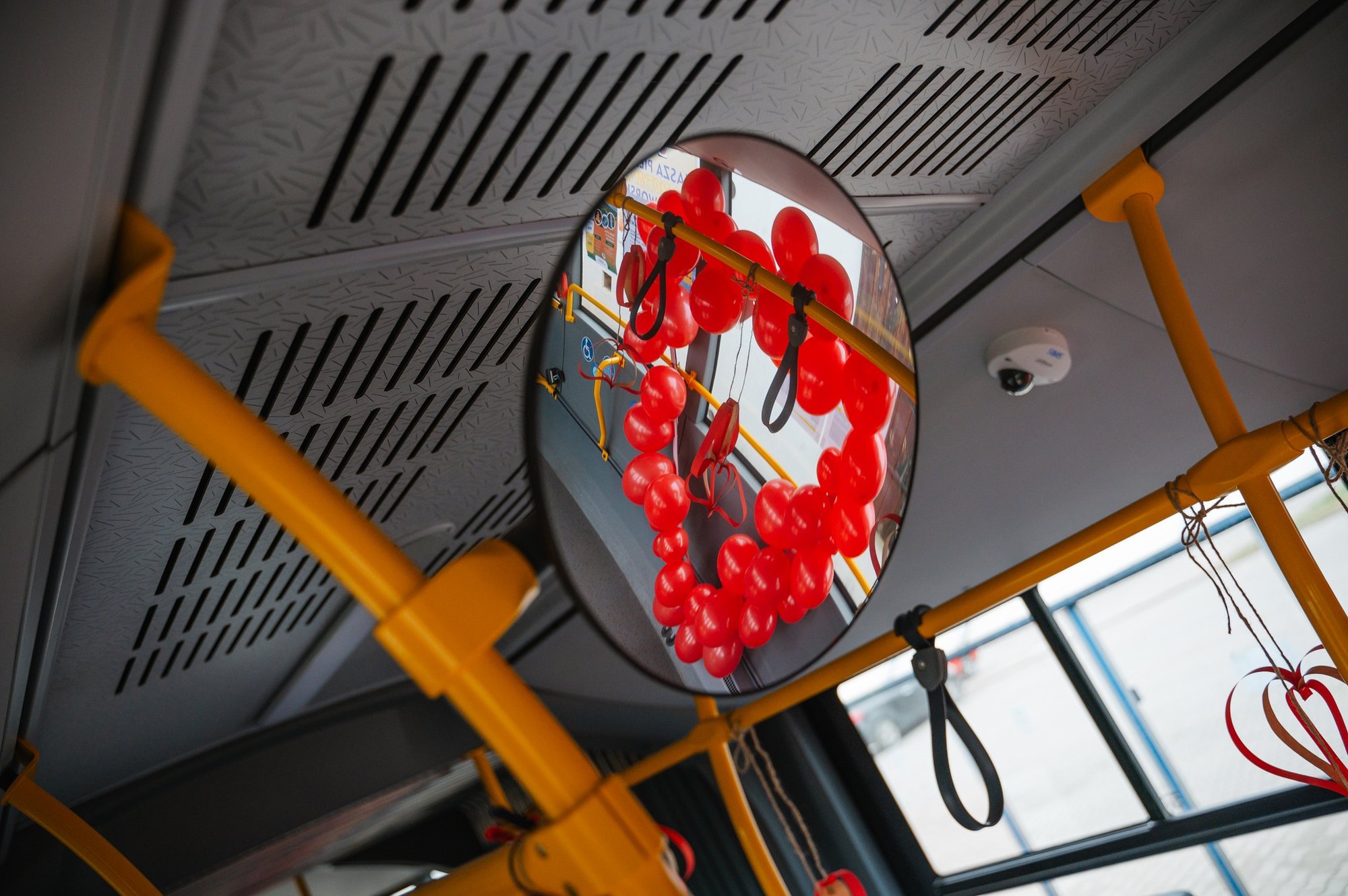 zakochany-autobus-113017