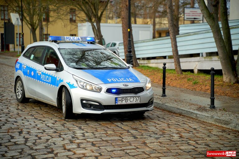 policyjne-kontrole-113160