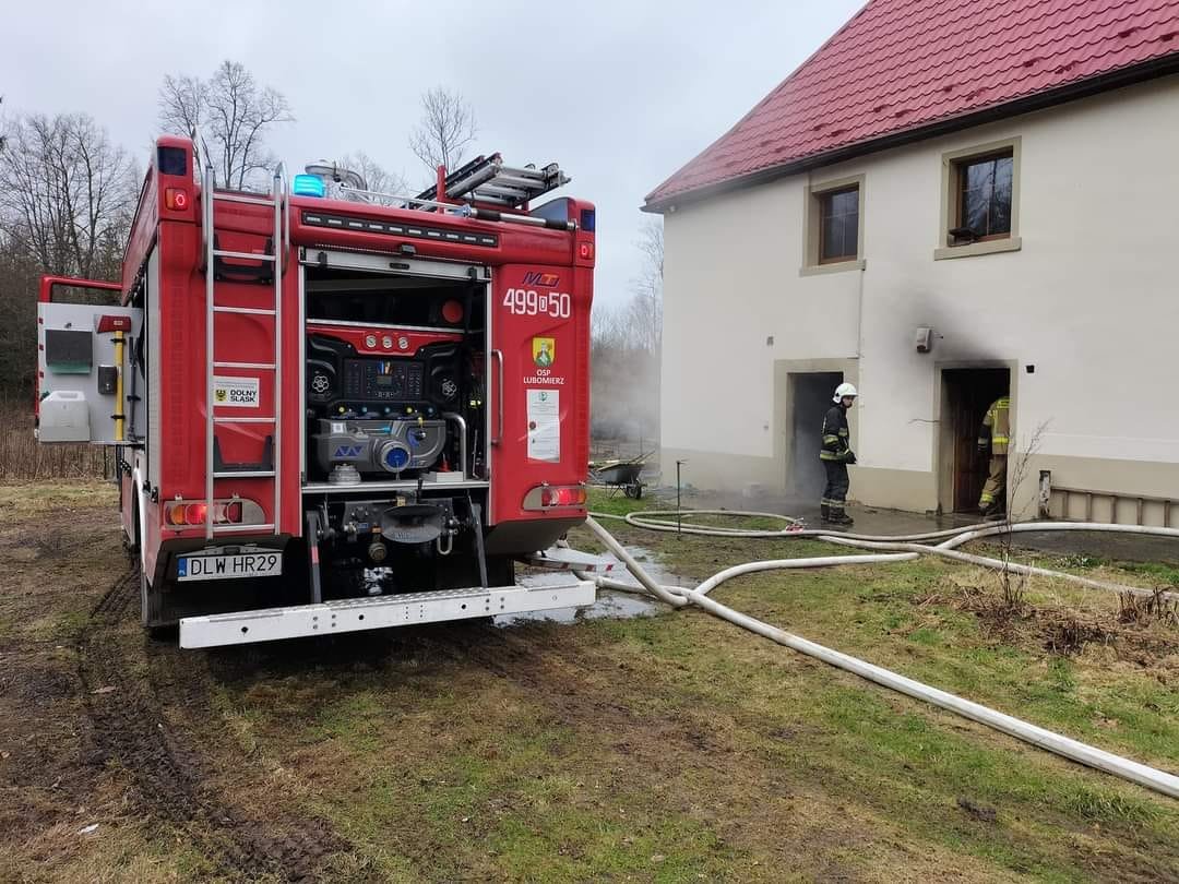 palia-sie-kotownia-113202