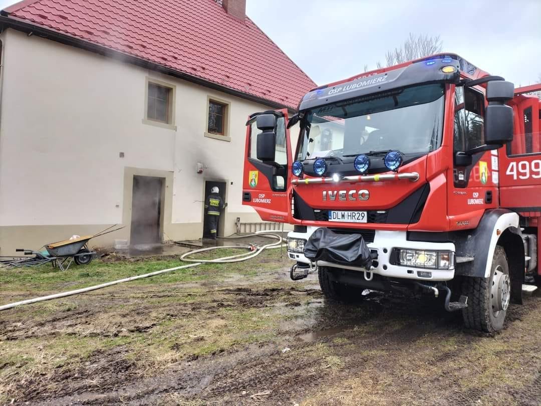 palia-sie-kotownia-113202