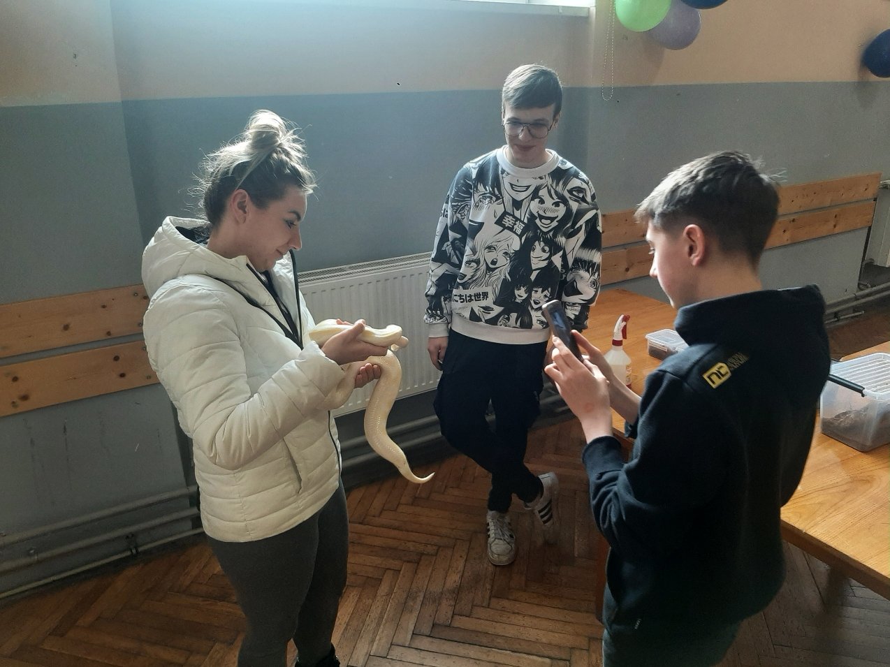 tumnie-na-wystawie-zwierzat-egzotycznych-113276