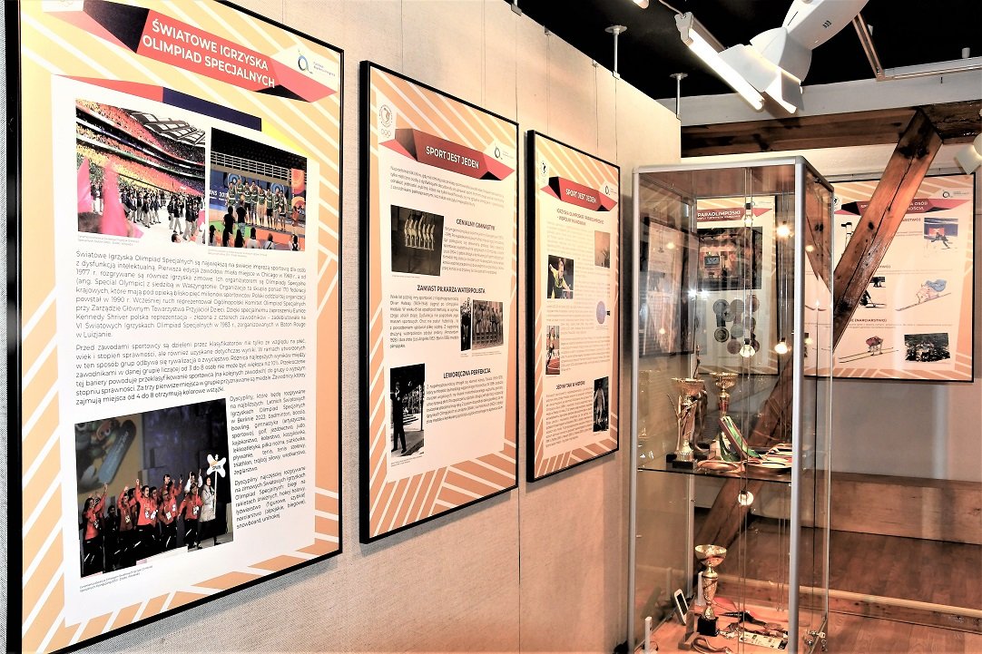 niepenosprawni-sportowcy-na-olimpijskim-szlaku-113369