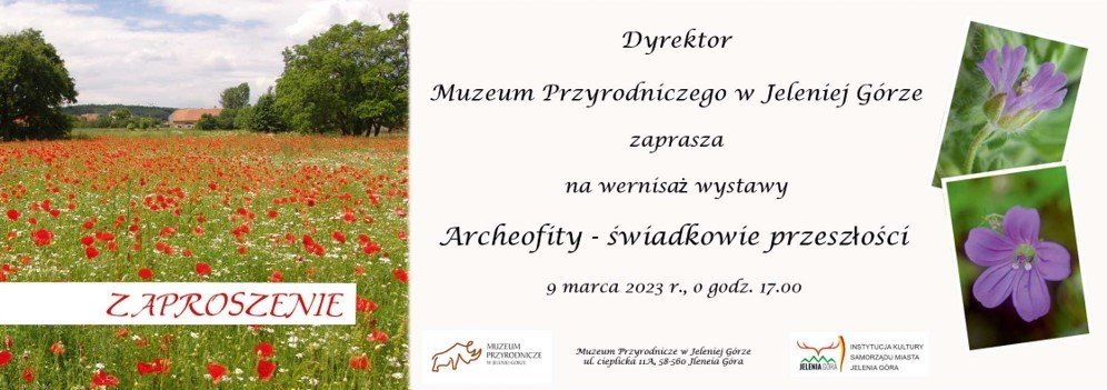 archeofity-w-muzeum-przyrodniczym-113424
