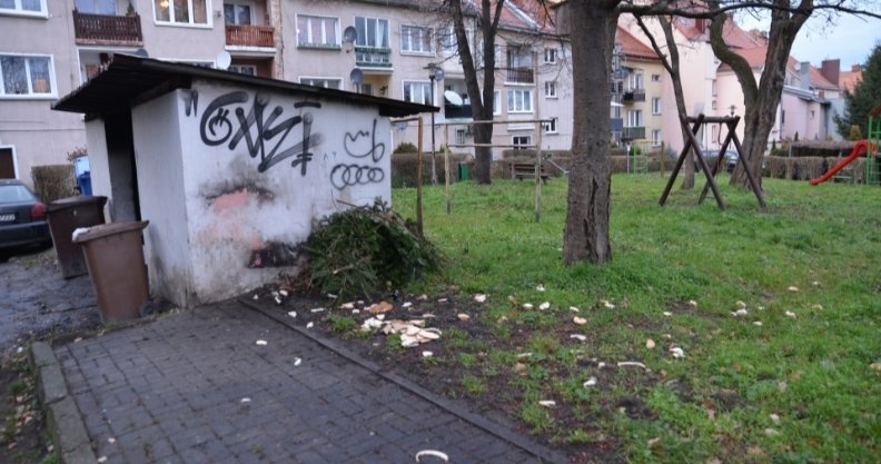 podworka-do-remontu-113427