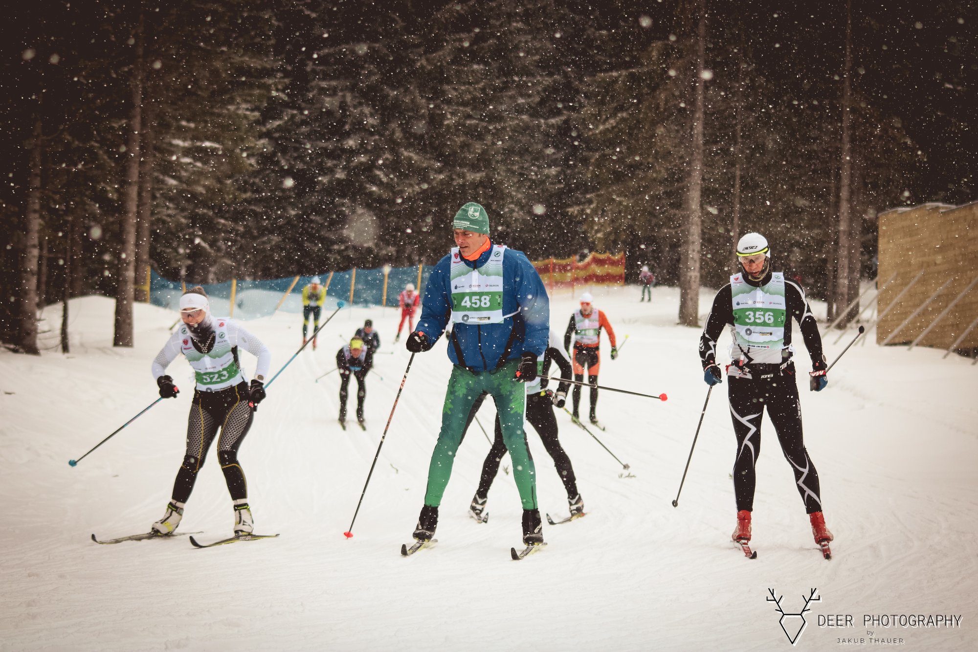 bieg-piastow-z-justyna-kowalczyktekieli-113531