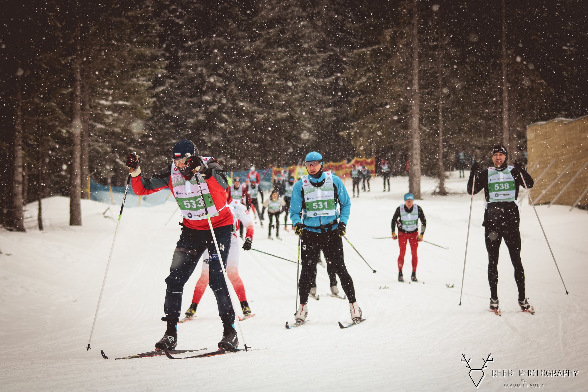 bieg-piastow-z-justyna-kowalczyktekieli-113531