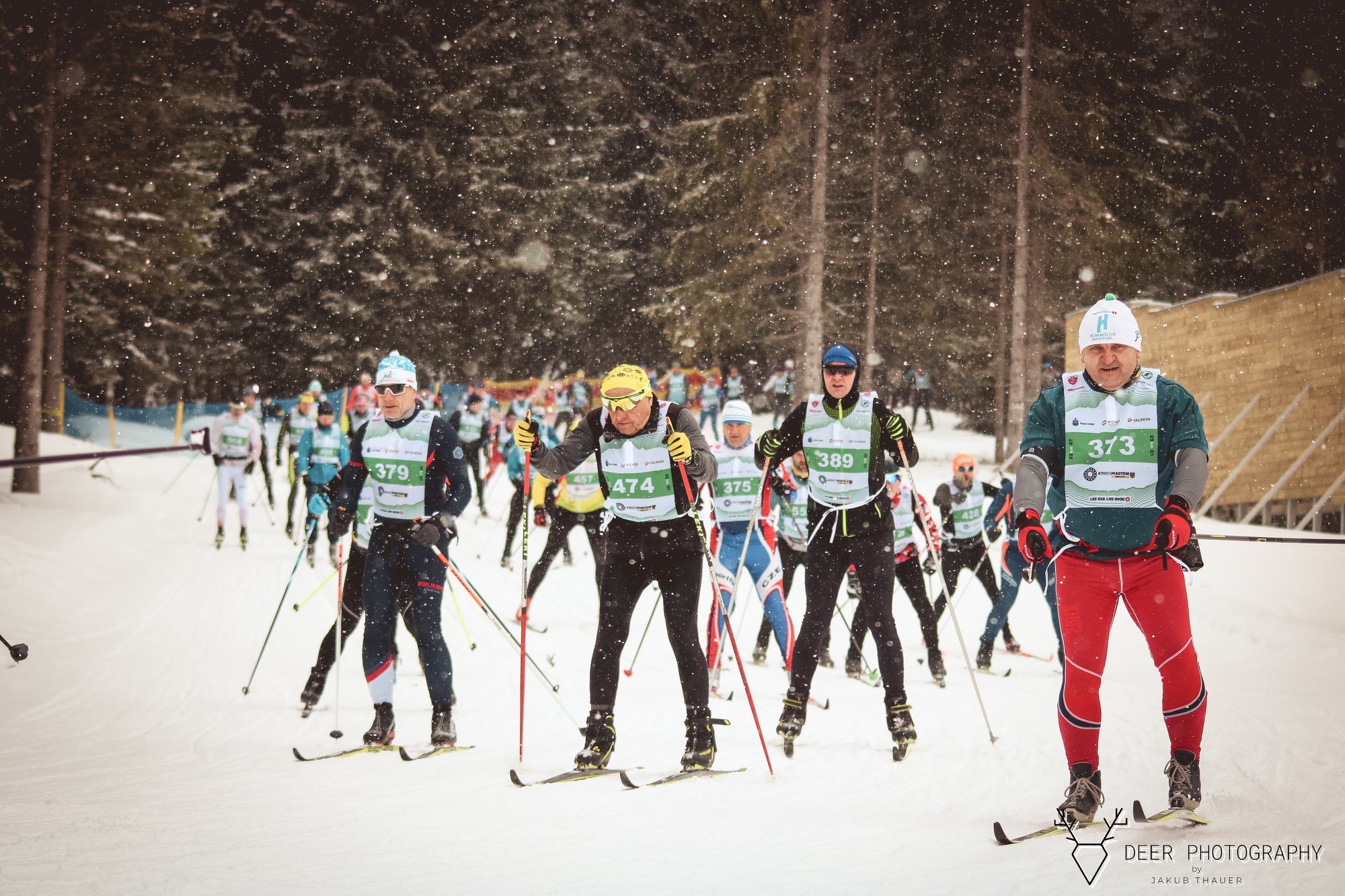 bieg-piastow-z-justyna-kowalczyktekieli-113531