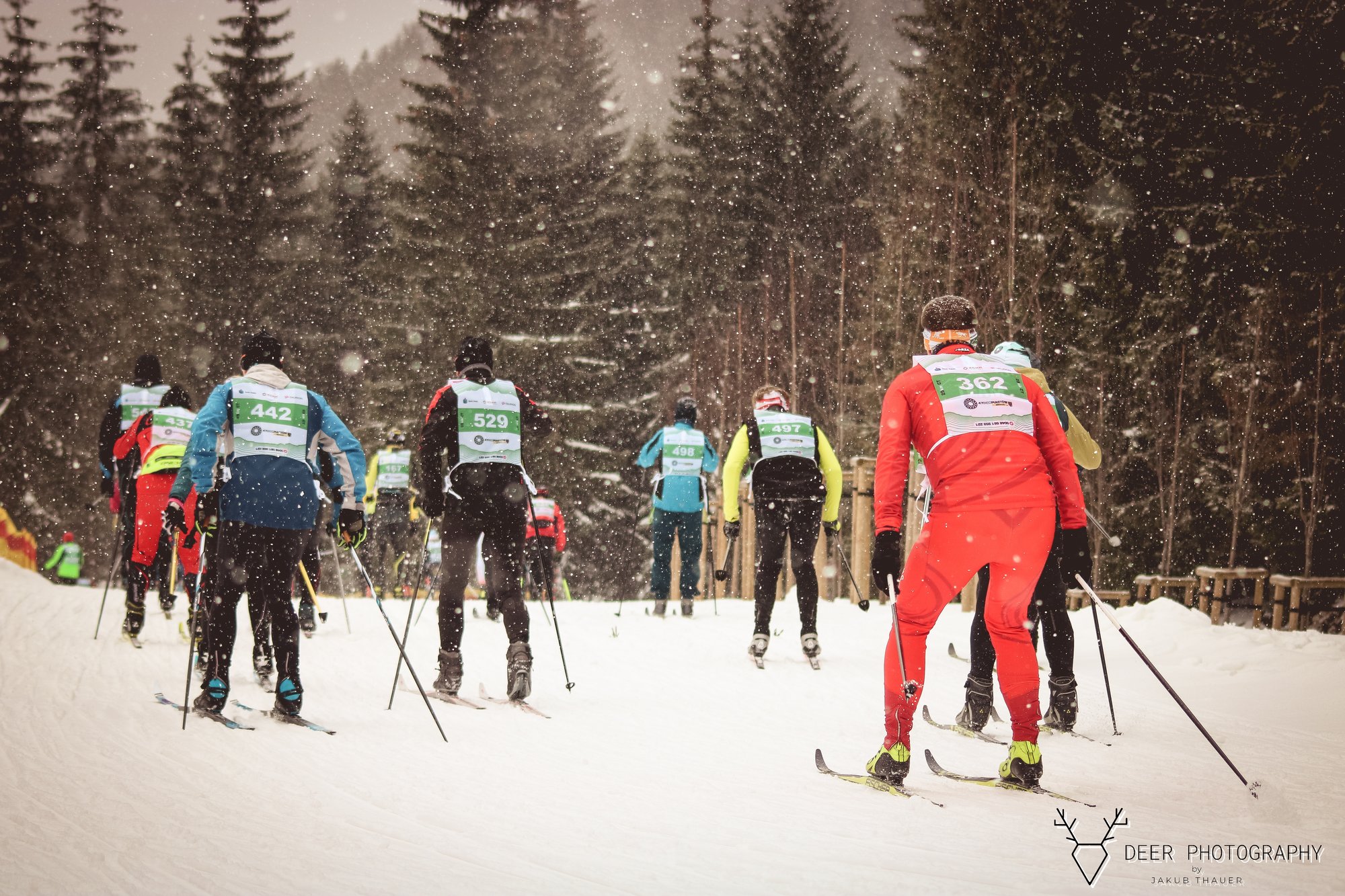 bieg-piastow-z-justyna-kowalczyktekieli-113531