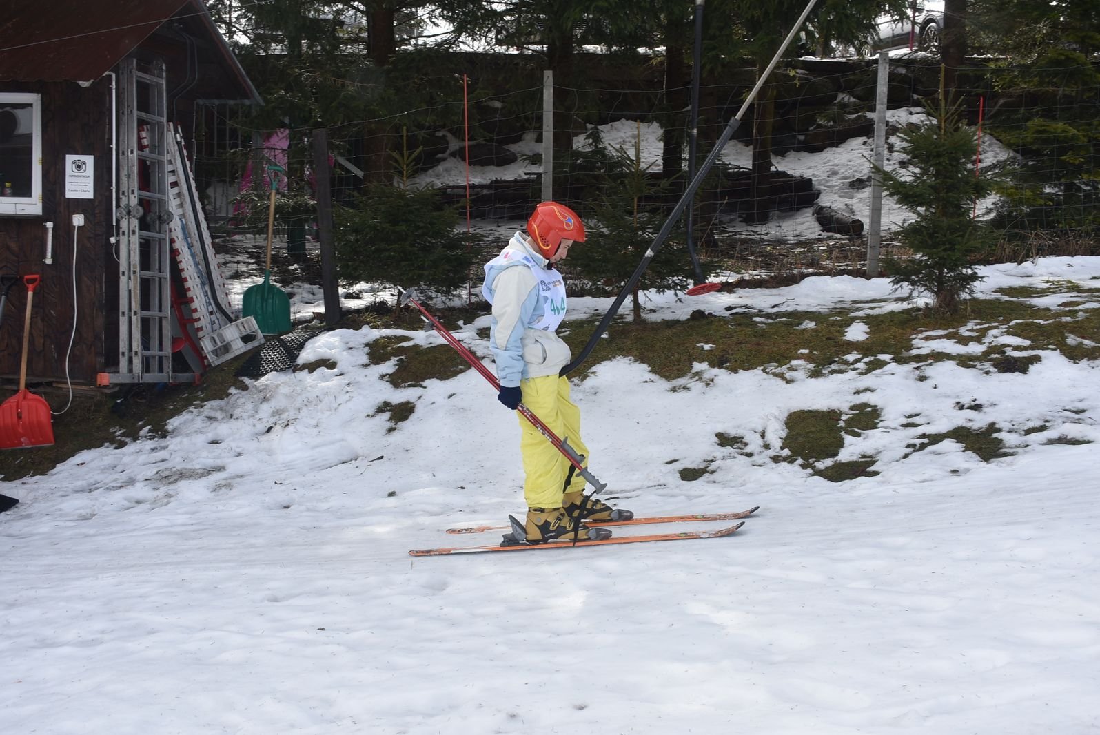 narciarski-myting-olimpiad-specjalnych-w-karpaczu-113659