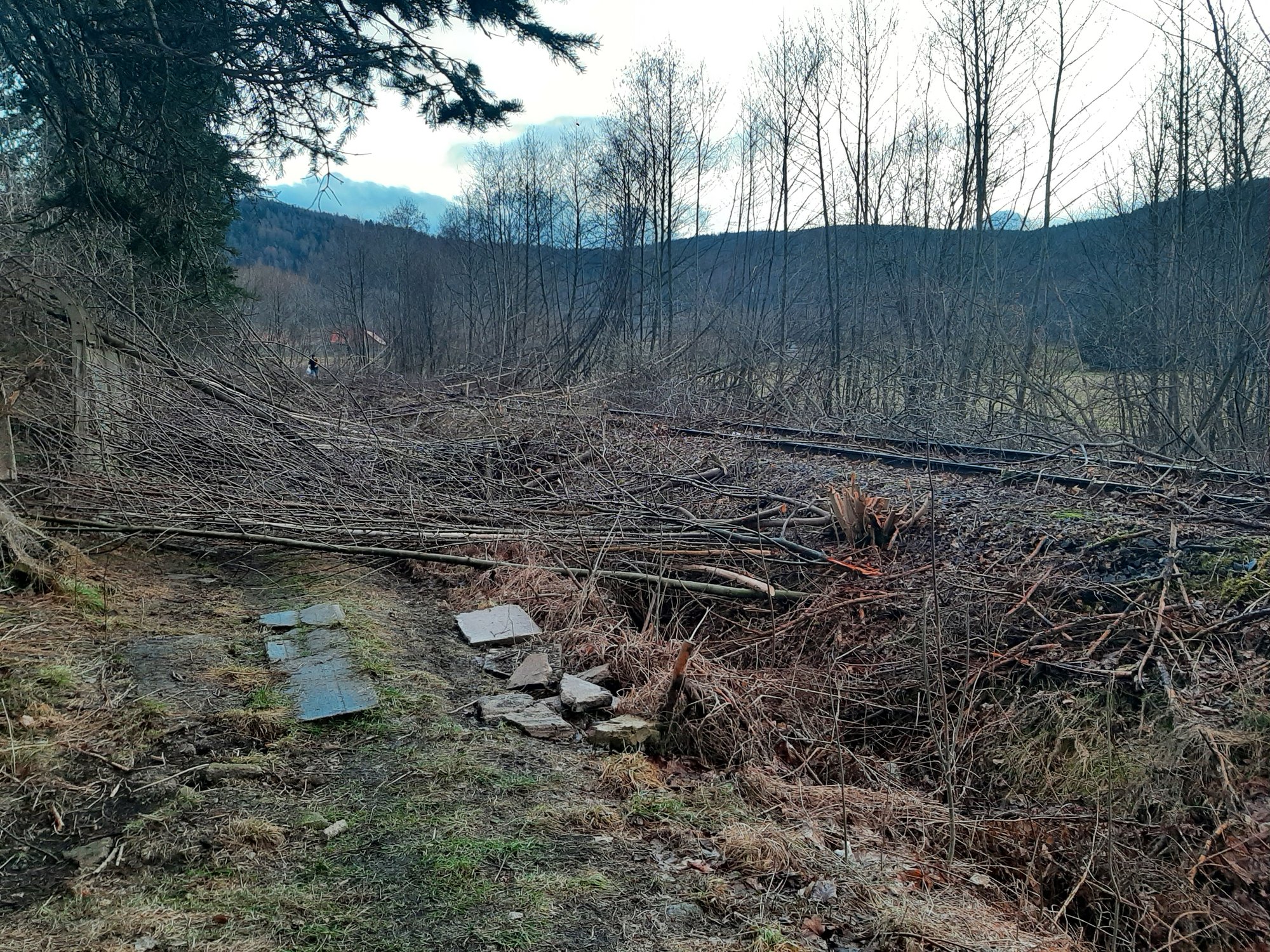 prace-na-torowisku-113718