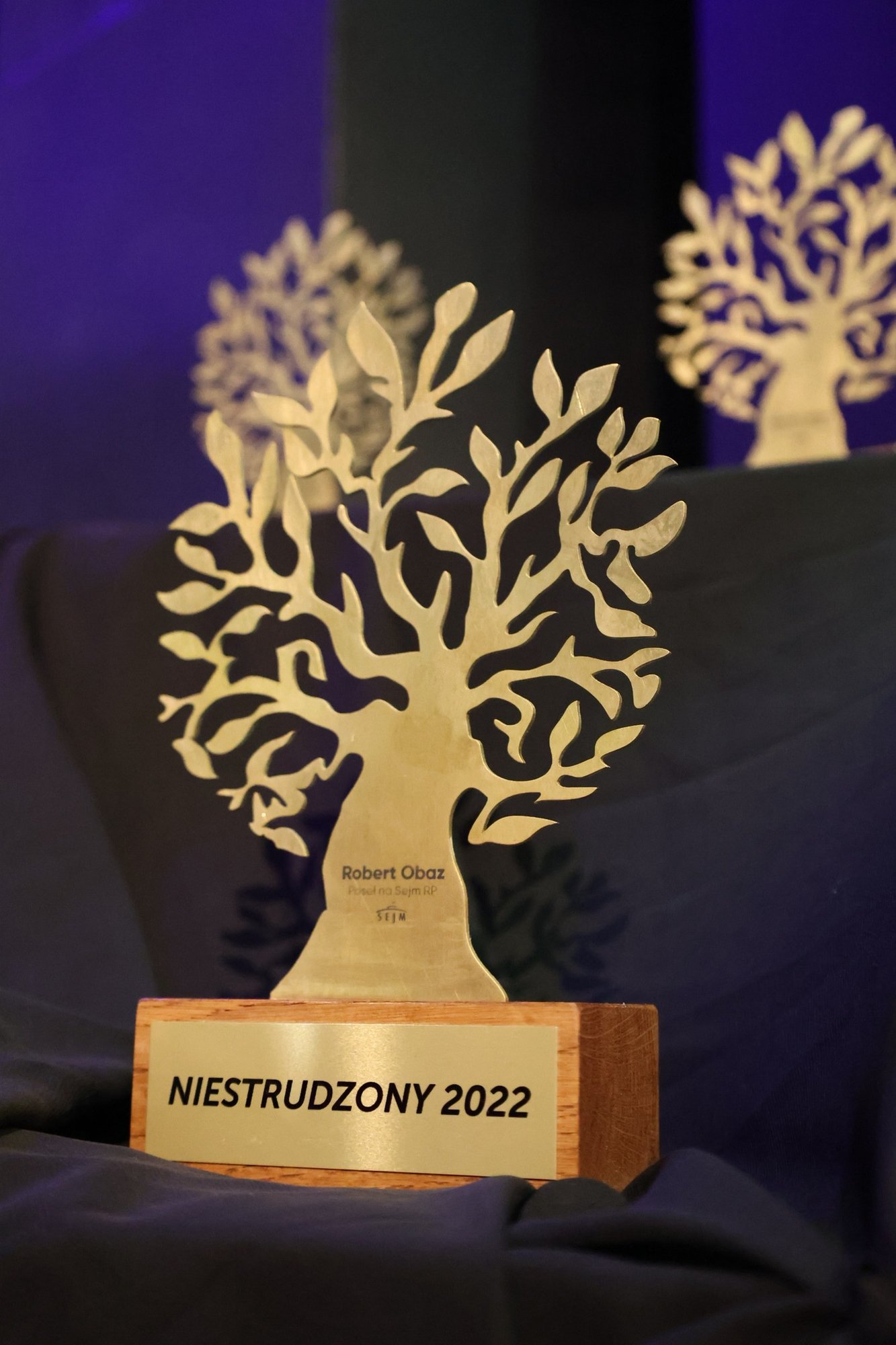 niestrudzeni-2022-113758