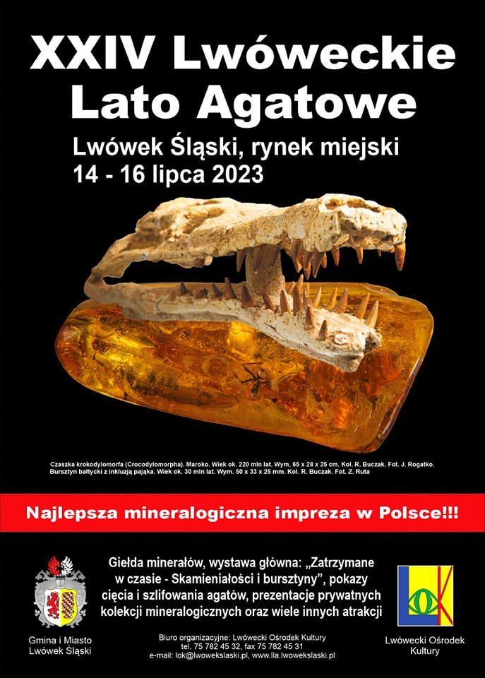 zatrzymane-w-czasie-113813